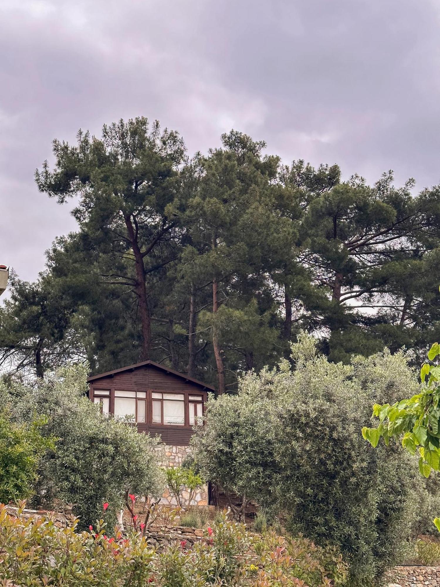 Hotel Ephesus Retreat Smirne Esterno foto